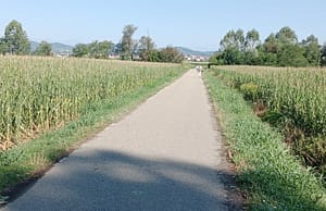 Chieri, aggredita in bici e tentato stupro sulla ciclabile: caccia all’uomo